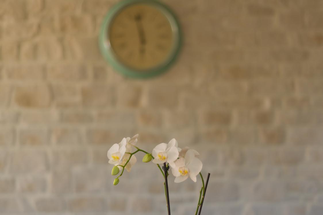 gallery_img24
