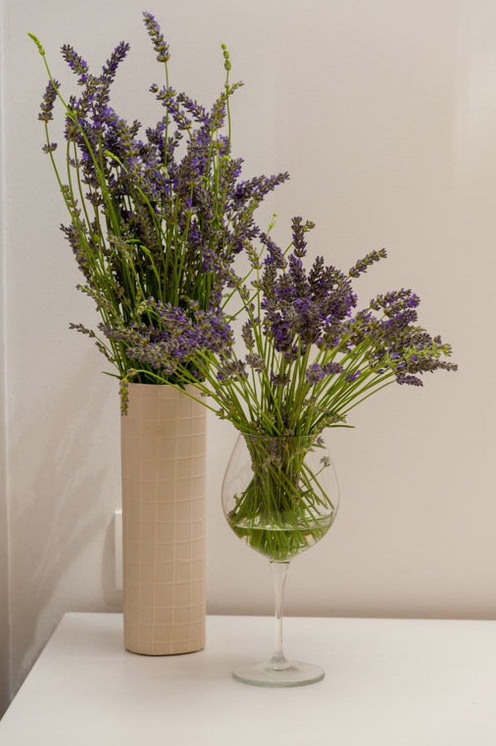 gallery_img23